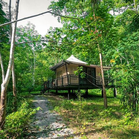 Anurak Community Lodge - Sha Plus Khao Sok National Park エクステリア 写真