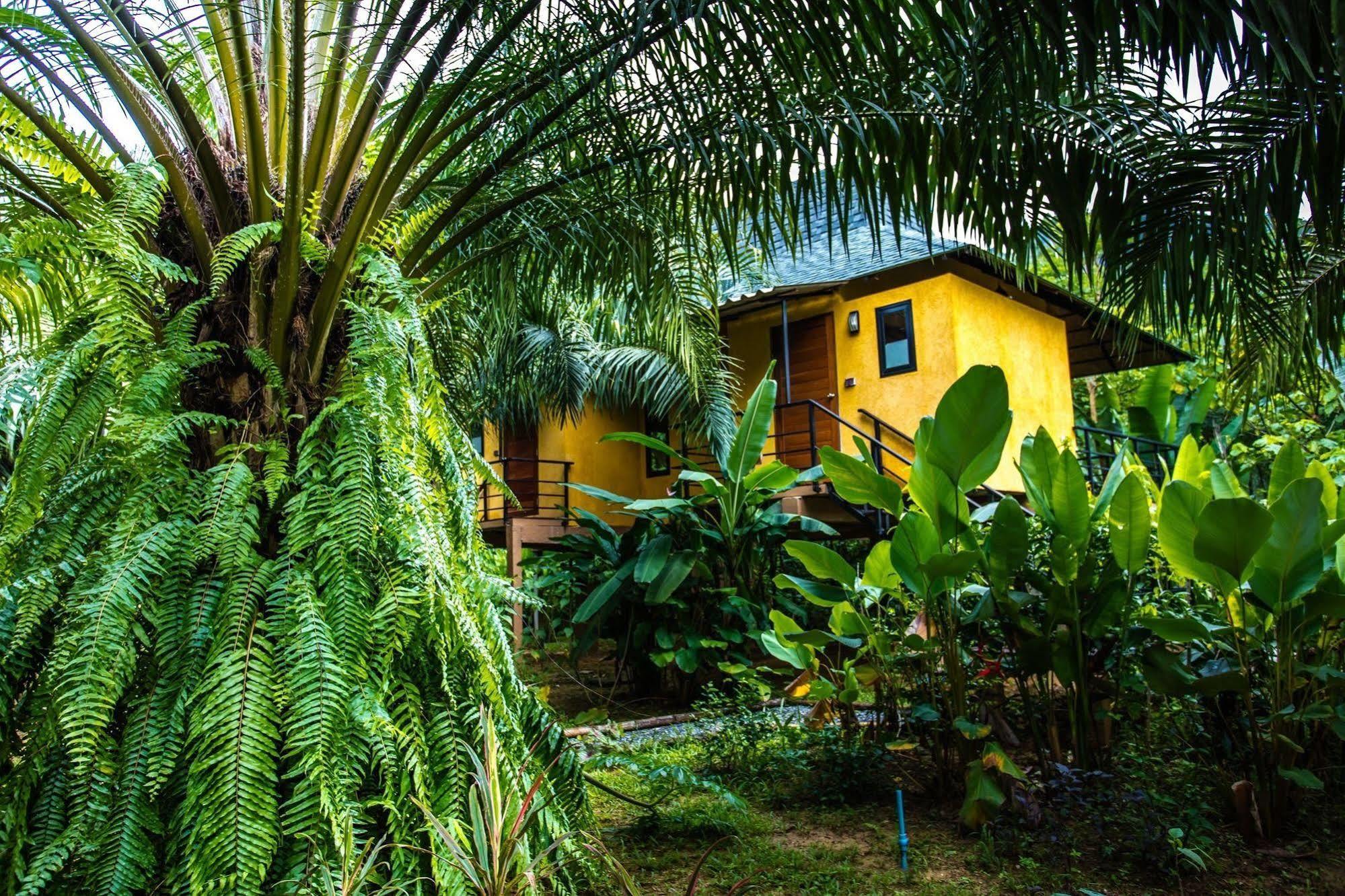 Anurak Community Lodge - Sha Plus Khao Sok National Park エクステリア 写真