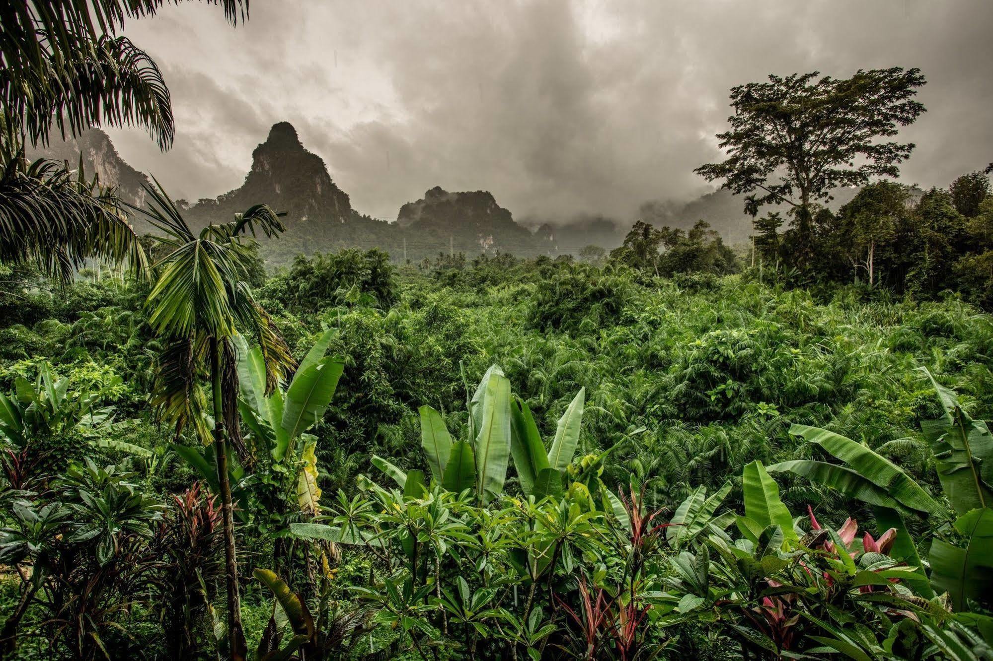 Anurak Community Lodge - Sha Plus Khao Sok National Park エクステリア 写真
