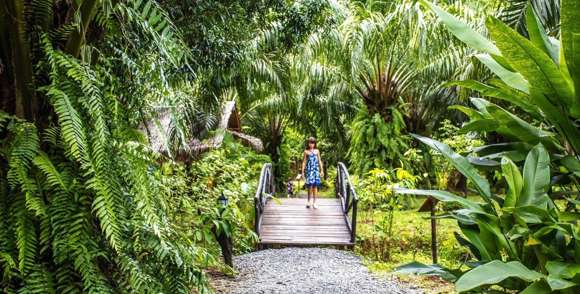 Anurak Community Lodge - Sha Plus Khao Sok National Park エクステリア 写真