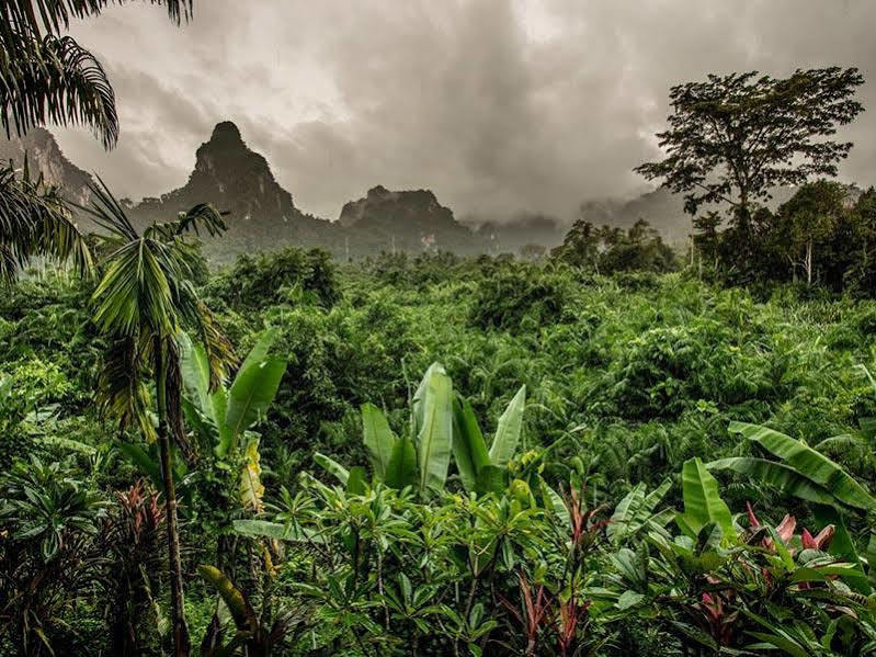 Anurak Community Lodge - Sha Plus Khao Sok National Park エクステリア 写真